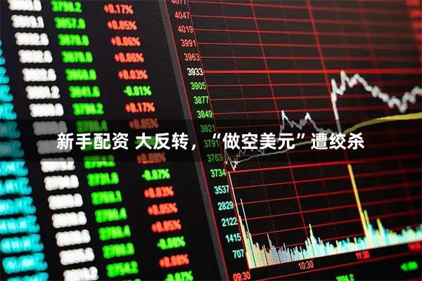 新手配资 大反转，“做空美元”遭绞杀
