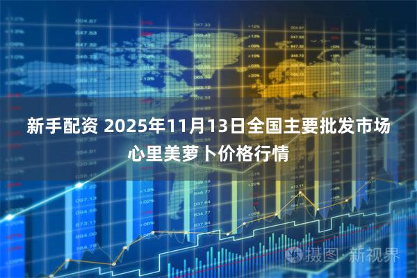 新手配资 2025年11月13日全国主要批发市场心里美萝卜价格行情