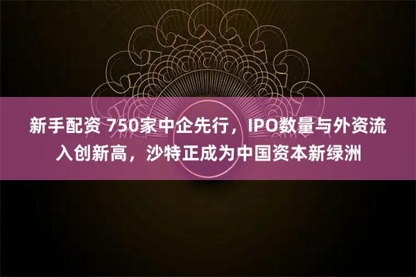 新手配资 750家中企先行,IPO数量与外资流入创新高,沙特正成为中国资本新绿洲